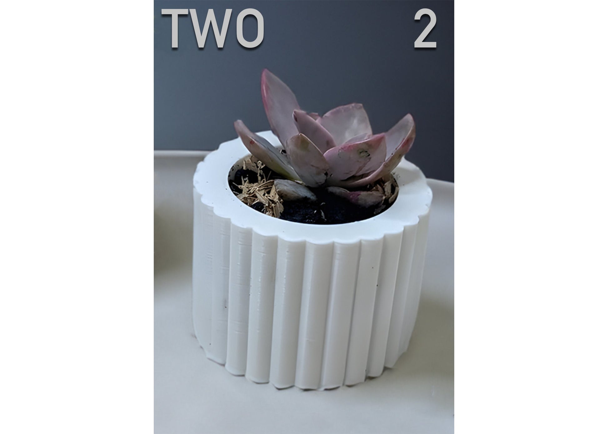 Modern Succulent Planter Pots, Abstract Mini Succulent Planter Pots, Cactus Planter