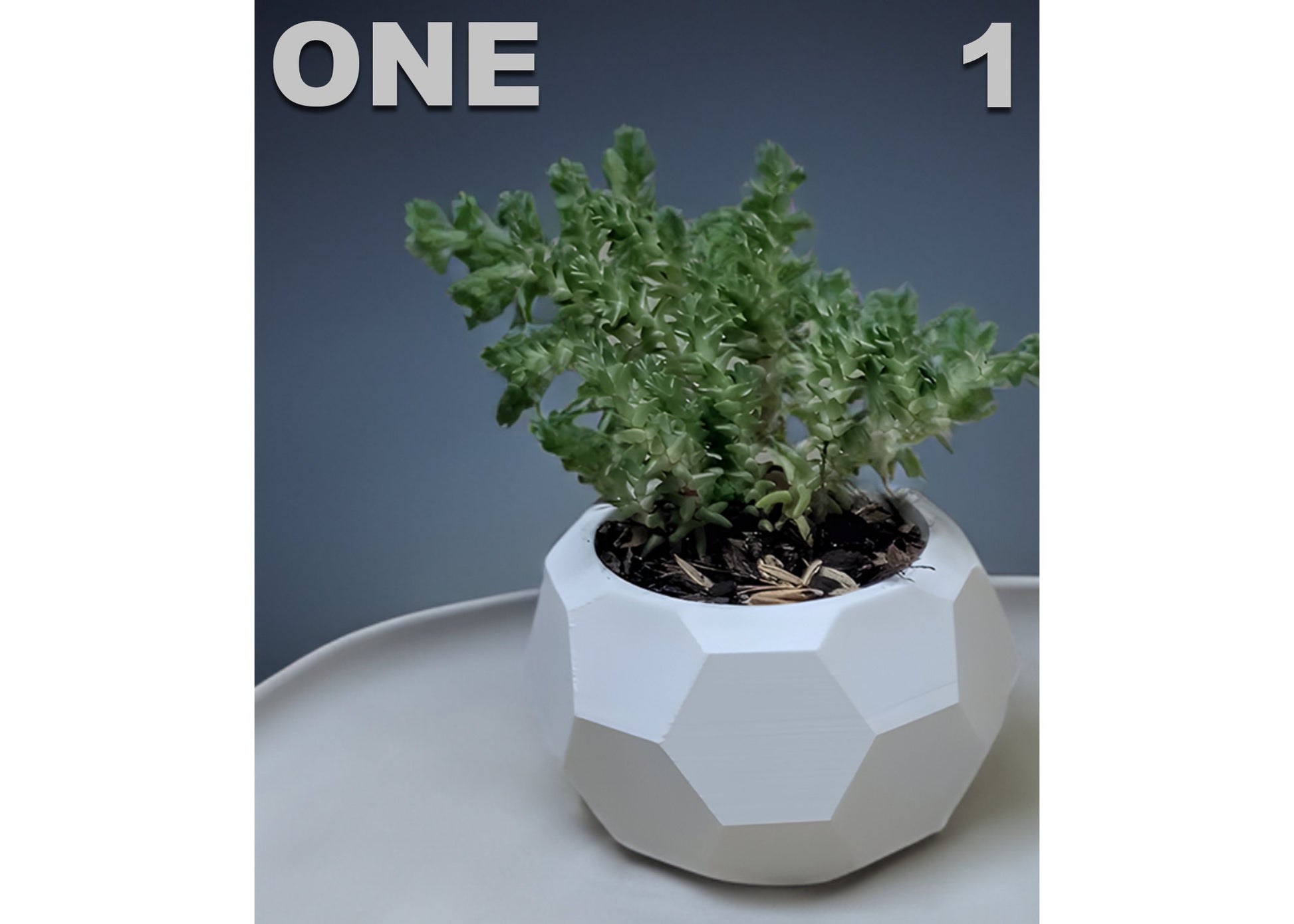 Modern Succulent Planter Pots, Abstract Mini Succulent Planter Pots, Cactus Planter