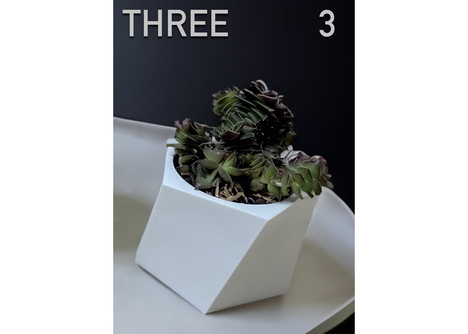 Modern Succulent Planter Pots, Abstract Mini Succulent Planter Pots, Cactus Planter