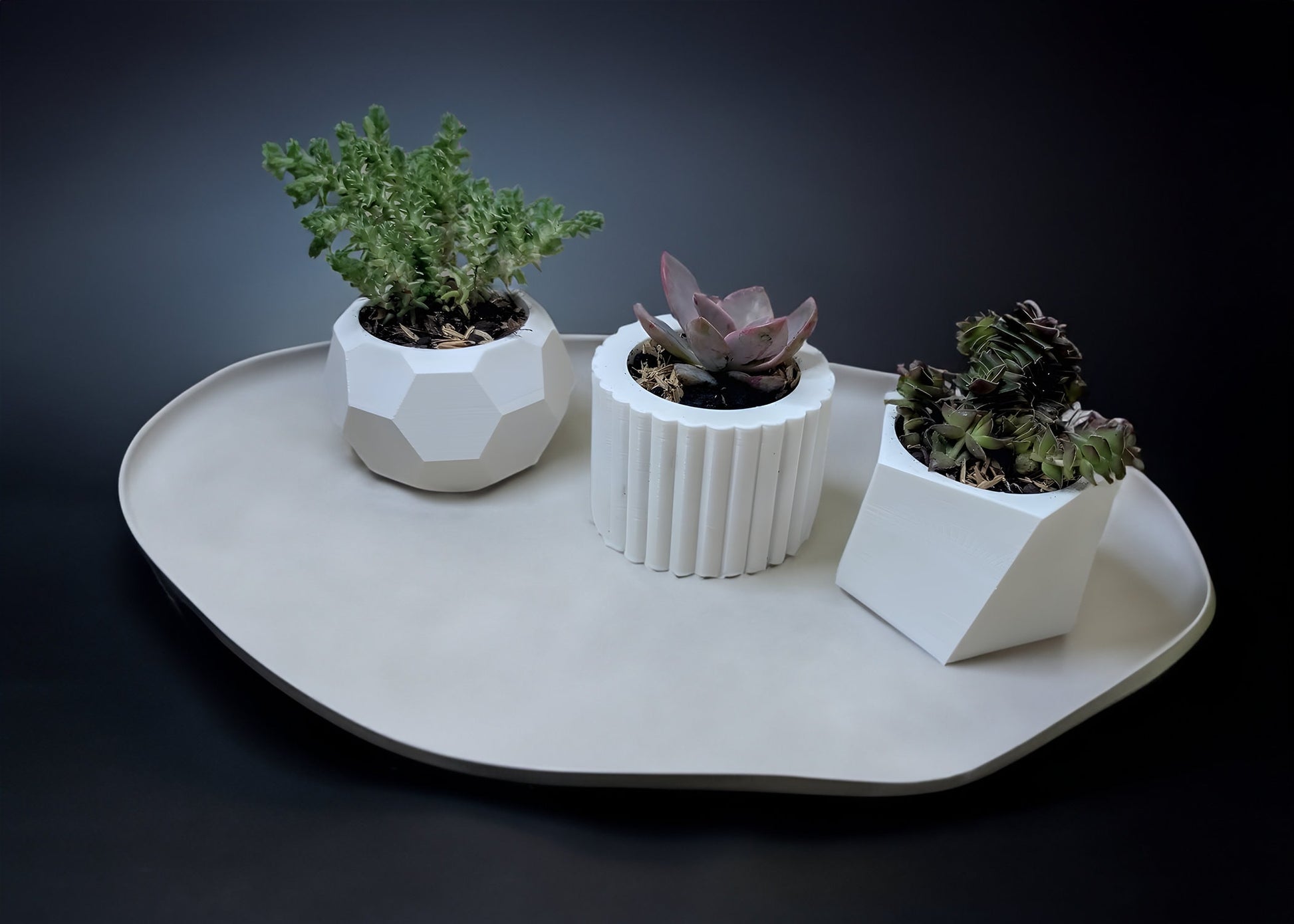 Modern Succulent Planter Pots, Abstract Mini Succulent Planter Pots, Cactus Planter